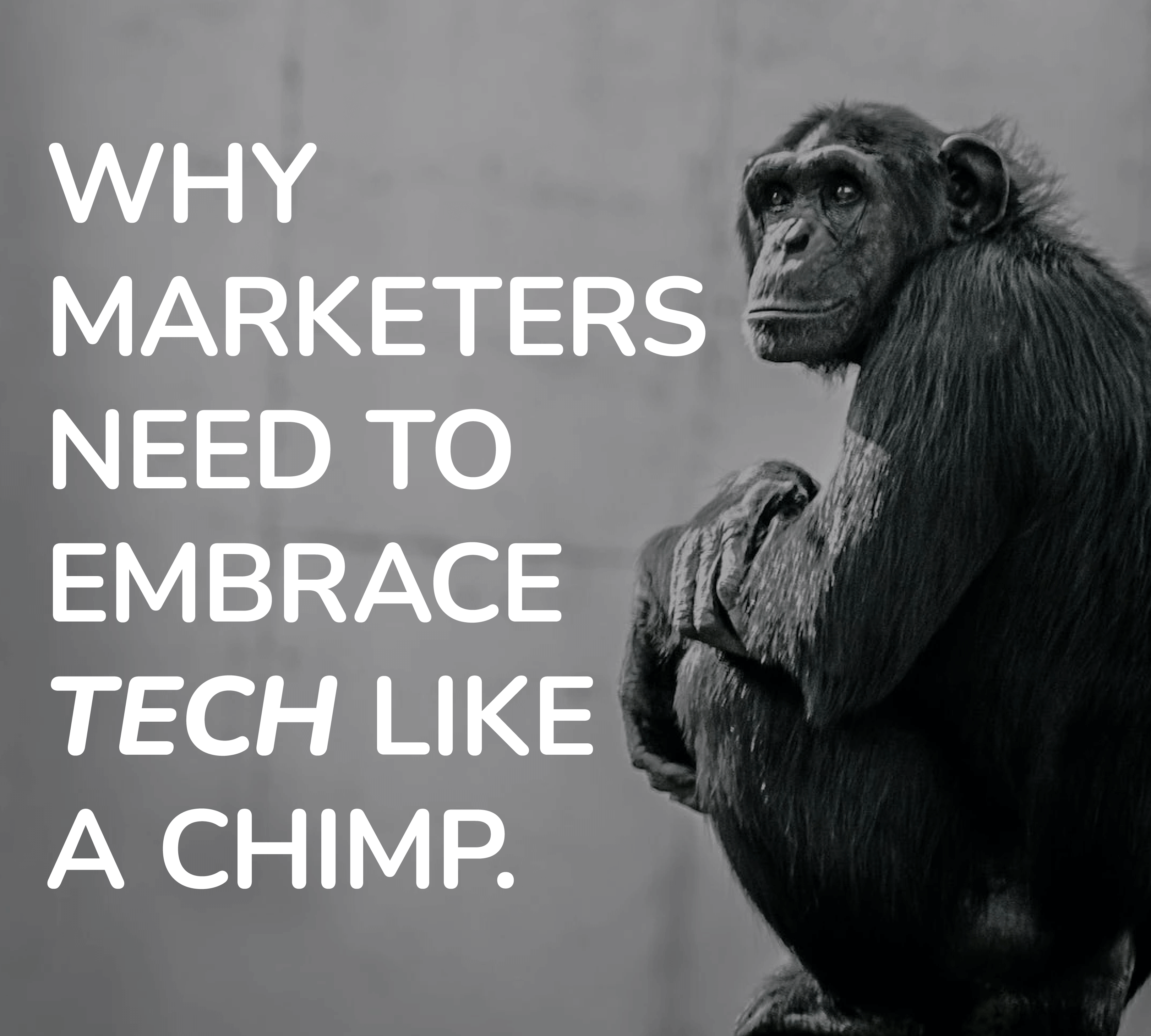 Marketers: Stop fearing tech – embrace it like a chimp