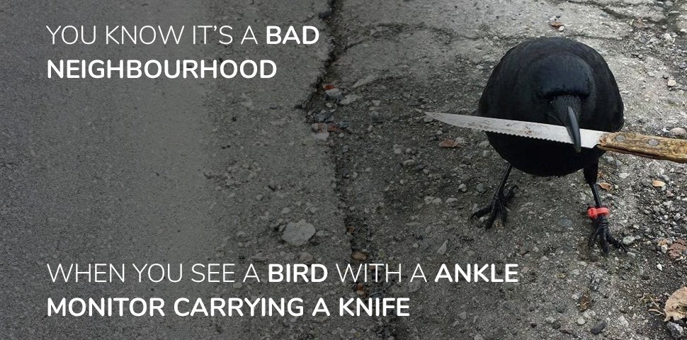 bad neighbourhood